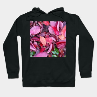 Autumn leaves Hoodie